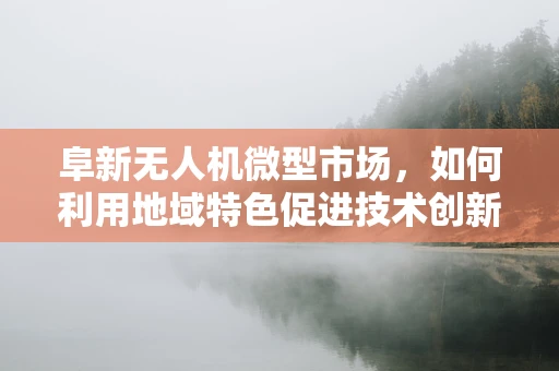 阜新无人机微型市场，如何利用地域特色促进技术创新与市场发展？