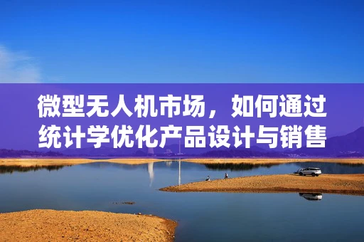 微型无人机市场，如何通过统计学优化产品设计与销售策略？