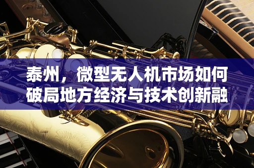 泰州，微型无人机市场如何破局地方经济与技术创新融合的难题？