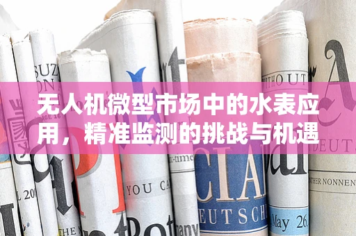 无人机微型市场中的水表应用，精准监测的挑战与机遇？