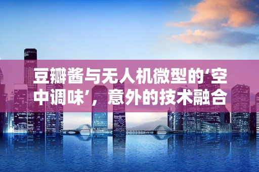 豆瓣酱与无人机微型的‘空中调味’，意外的技术融合？
