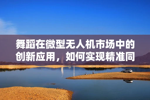 舞蹈在微型无人机市场中的创新应用，如何实现精准同步与创意编排？