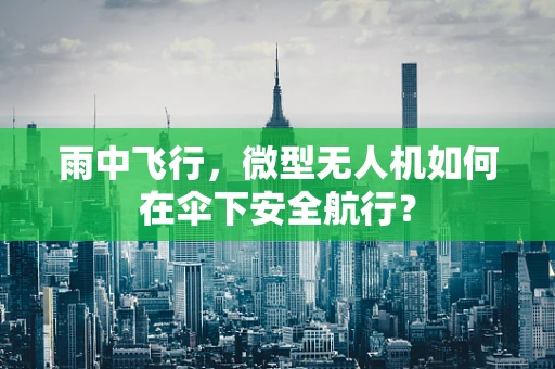 雨中飞行，微型无人机如何在伞下安全航行？