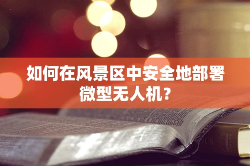 如何在风景区中安全地部署微型无人机？