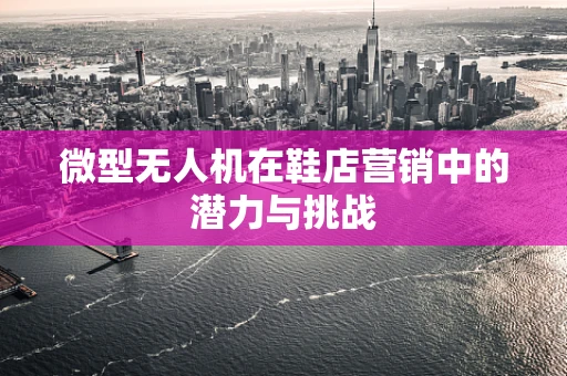 微型无人机在鞋店营销中的潜力与挑战