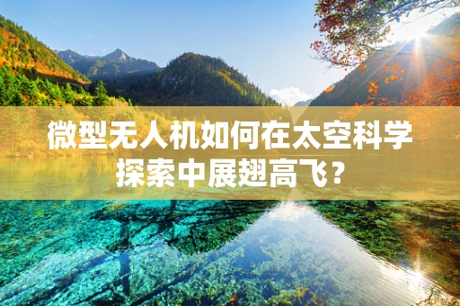 微型无人机如何在太空科学探索中展翅高飞？