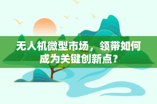 无人机微型市场，领带如何成为关键创新点？
