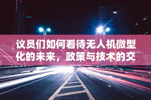 议员们如何看待无人机微型化的未来，政策与技术的交汇点