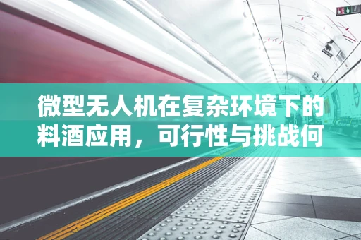 微型无人机在复杂环境下的料酒应用，可行性与挑战何在？