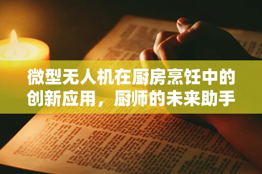 微型无人机在厨房烹饪中的创新应用，厨师的未来助手？