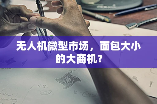 无人机微型市场，面包大小的大商机？