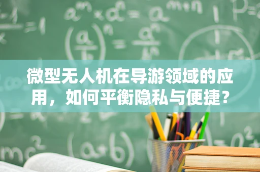 微型无人机在导游领域的应用，如何平衡隐私与便捷？
