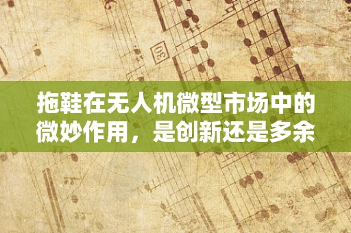 拖鞋在无人机微型市场中的微妙作用，是创新还是多余？