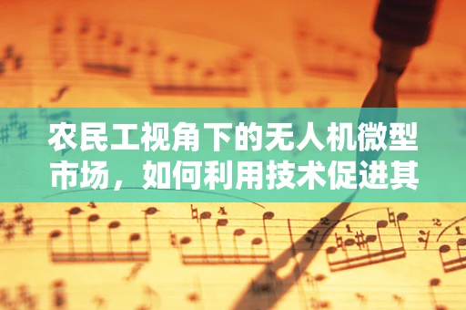 农民工视角下的无人机微型市场，如何利用技术促进其就业与收入提升？