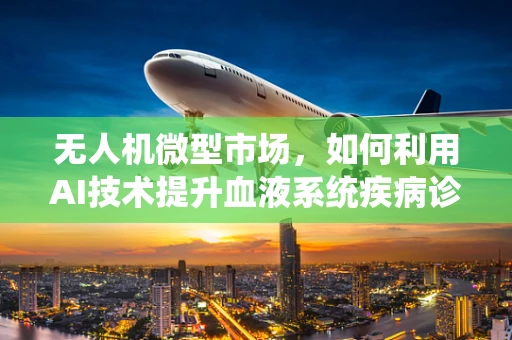 无人机微型市场，如何利用AI技术提升血液系统疾病诊断的精准度？