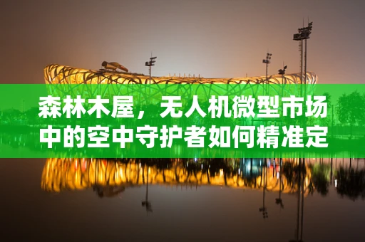 森林木屋，无人机微型市场中的空中守护者如何精准定位？