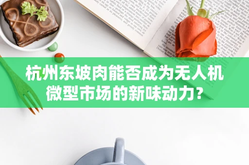 杭州东坡肉能否成为无人机微型市场的新味动力？
