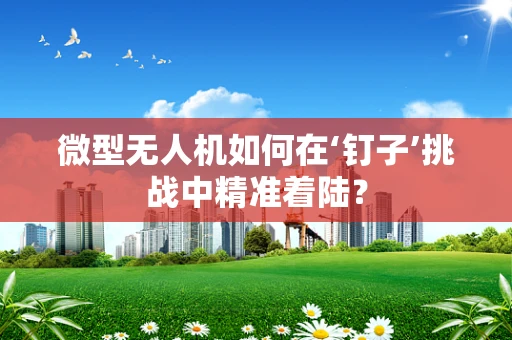 微型无人机如何在‘钉子’挑战中精准着陆？