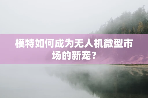 模特如何成为无人机微型市场的新宠？