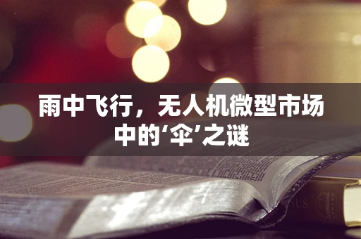 雨中飞行，无人机微型市场中的‘伞’之谜
