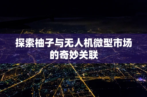 探索柚子与无人机微型市场的奇妙关联