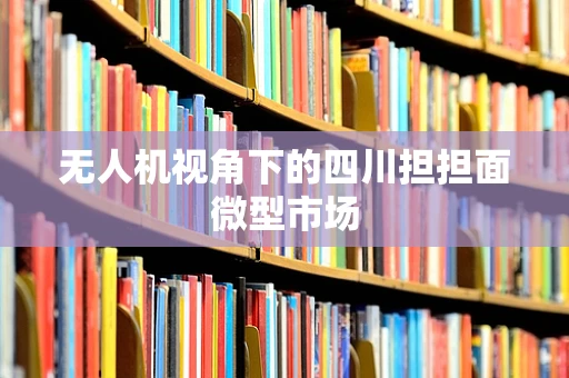 无人机视角下的四川担担面微型市场