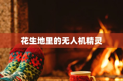 花生地里的无人机精灵