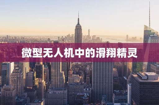 微型无人机中的滑翔精灵