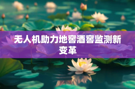 无人机助力地窖酒窖监测新变革