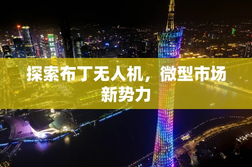 探索布丁无人机，微型市场新势力