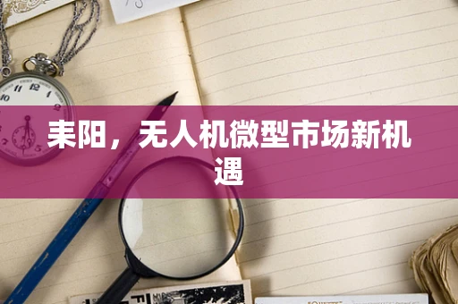 耒阳，无人机微型市场新机遇