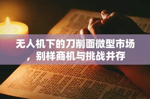 无人机下的刀削面微型市场，别样商机与挑战并存