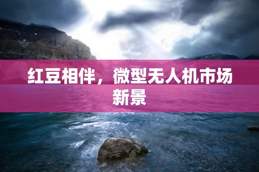 红豆相伴，微型无人机市场新景