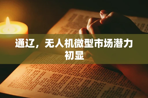 通辽，无人机微型市场潜力初显