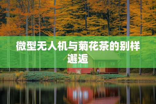 微型无人机与菊花茶的别样邂逅