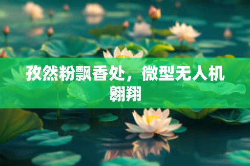 孜然粉飘香处，微型无人机翱翔