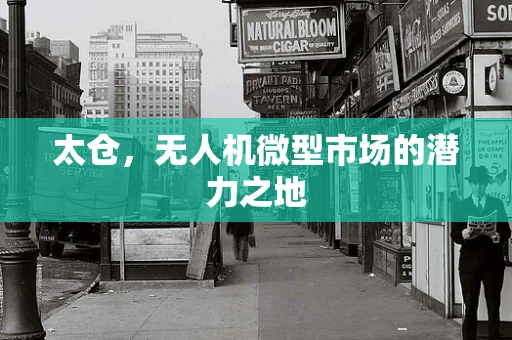 太仓，无人机微型市场的潜力之地
