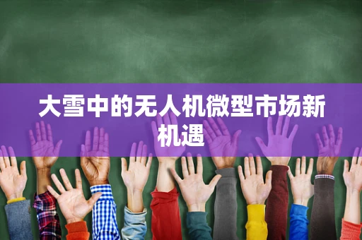 大雪中的无人机微型市场新机遇