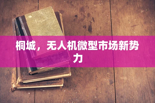 桐城，无人机微型市场新势力