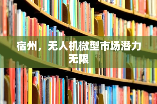 宿州，无人机微型市场潜力无限