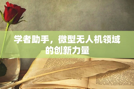 学者助手，微型无人机领域的创新力量