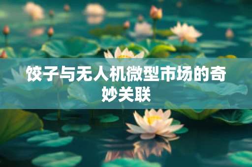 饺子与无人机微型市场的奇妙关联