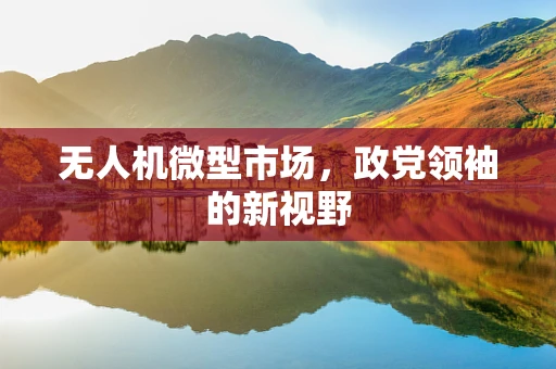 无人机微型市场，政党领袖的新视野