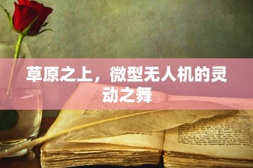 草原之上，微型无人机的灵动之舞
