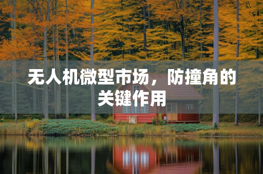 无人机微型市场，防撞角的关键作用