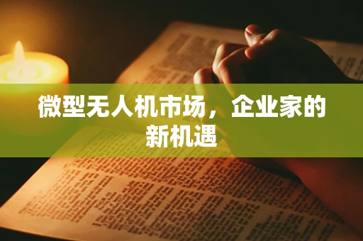 微型无人机市场，企业家的新机遇