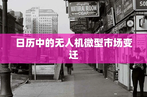 日历中的无人机微型市场变迁