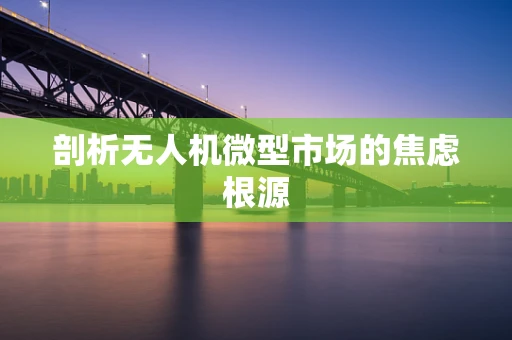 剖析无人机微型市场的焦虑根源