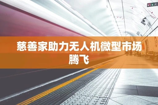 慈善家助力无人机微型市场腾飞