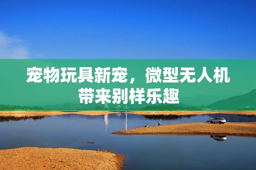 宠物玩具新宠，微型无人机带来别样乐趣